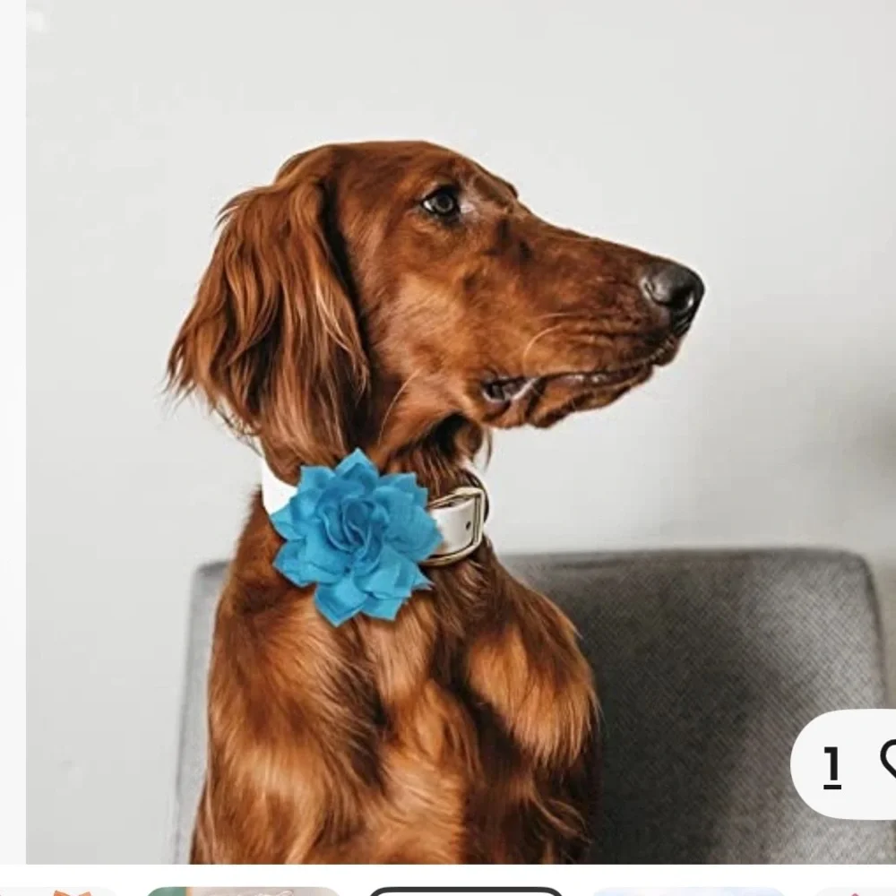 50%offw❤️ 20 Dog Collar Flowers Attachement Cat Bow Tie Flora Accessories Set